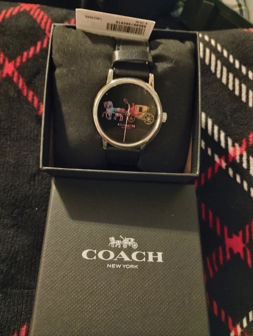 Black Ombre Rainbow Horse And Carriage Coach Watch